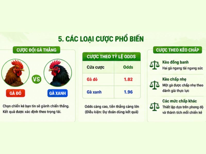 Các Loại Cược Đá Gà Cựa Dao Phổ Biến
