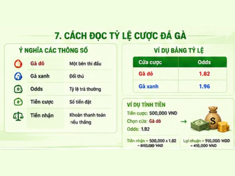 Cách Đọc Tỷ Lệ Cược Đá Gà