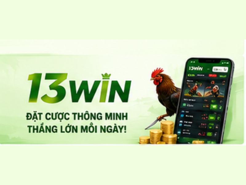 Câu Hỏi Thường Gặp Về Đá Gà Cựa Dao 13WIN (FAQ)