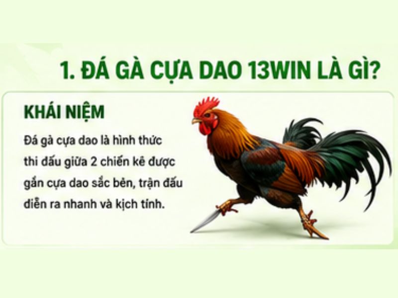 Đá Gà Cựa Dao 13WIN Là Gì?
