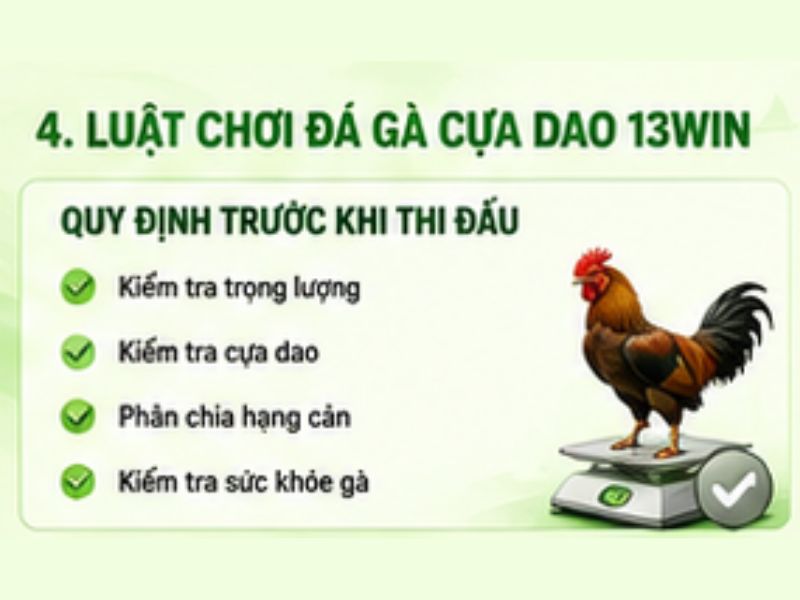 Luật Chơi Đá Gà Cựa Dao Tại 13WIN