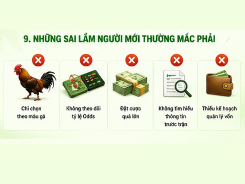 Những Sai Lầm Người Mới Thường Mắc Phải
