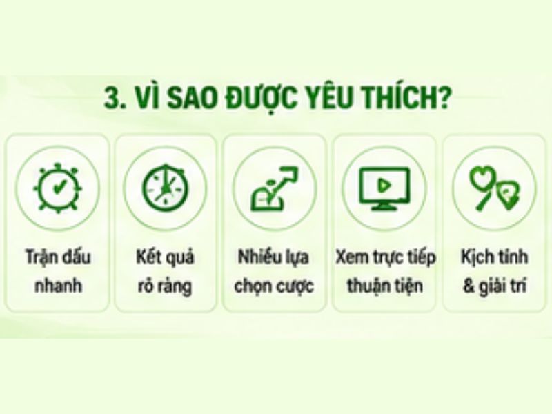 Vì sao đá gà cựa dao thu hút người chơi