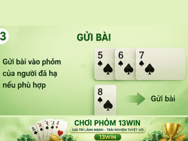 Quy tắc gửi bài